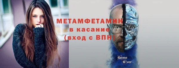 сатива Вяземский